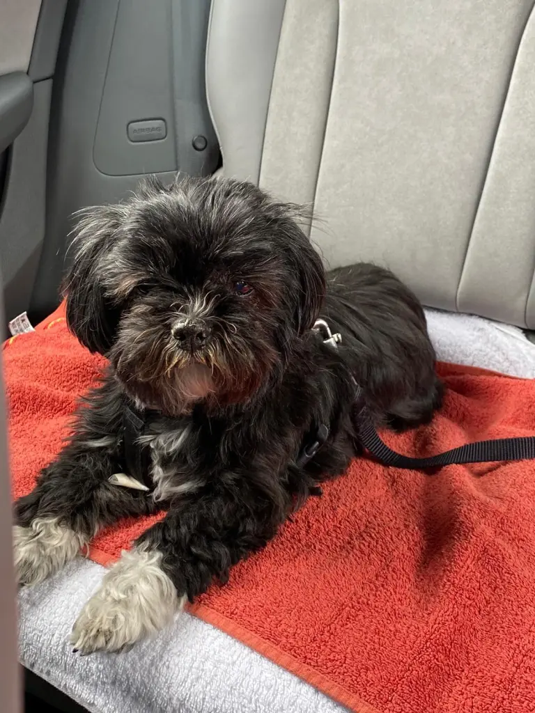 Condolence image of Jana