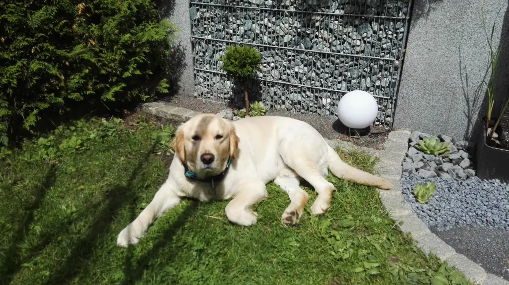 Condolence image of Peter