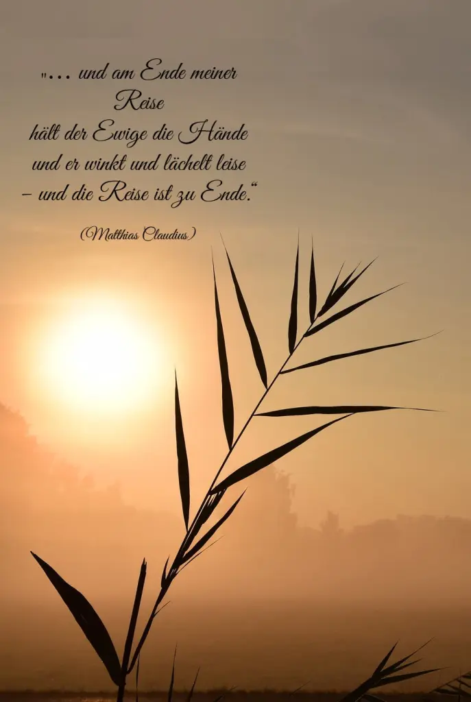 Condolence image of Cuddles ❤️to Snowy & 3 Yorkis ❤️