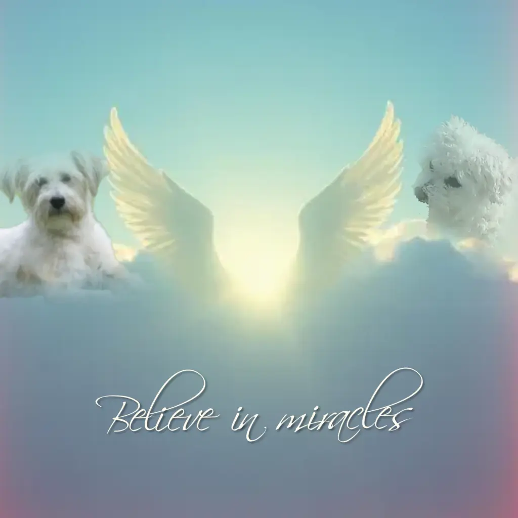 Condolence image of 💫♡ 💫♡ 💫♡ 💫♡