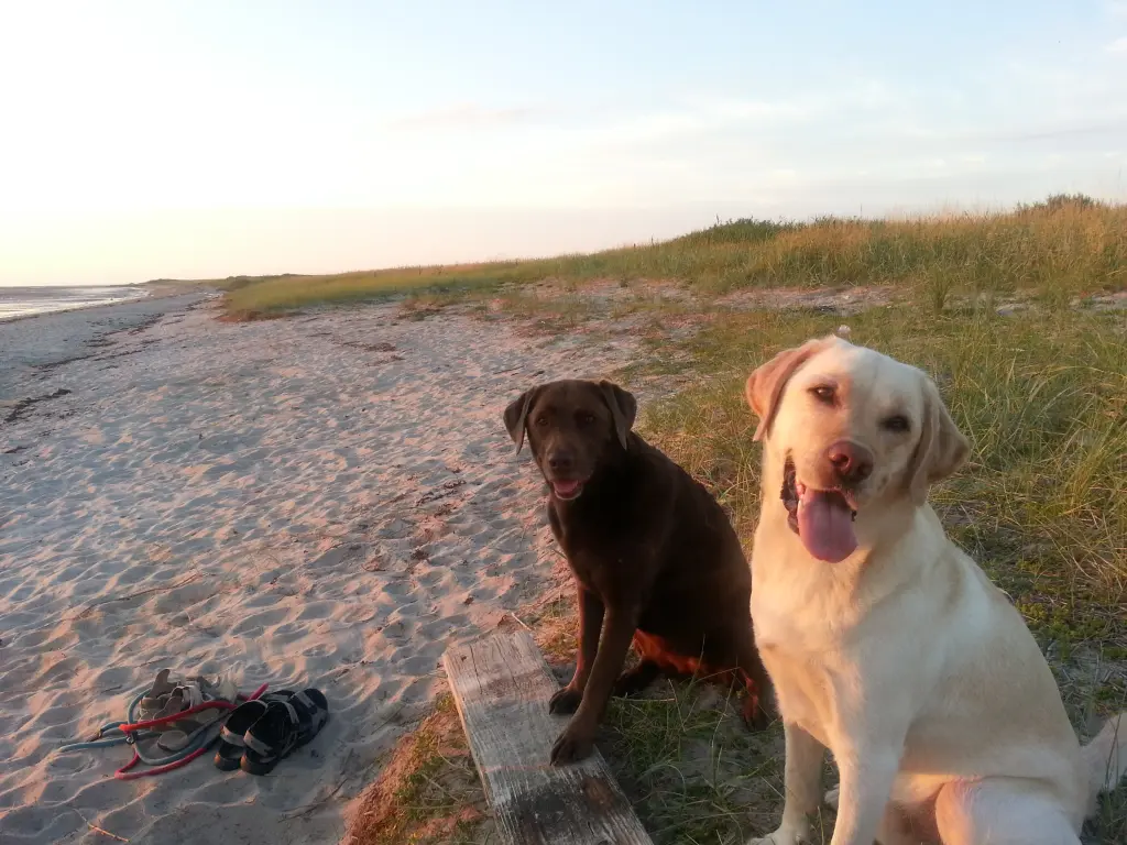 Condolence image of Elisabeth