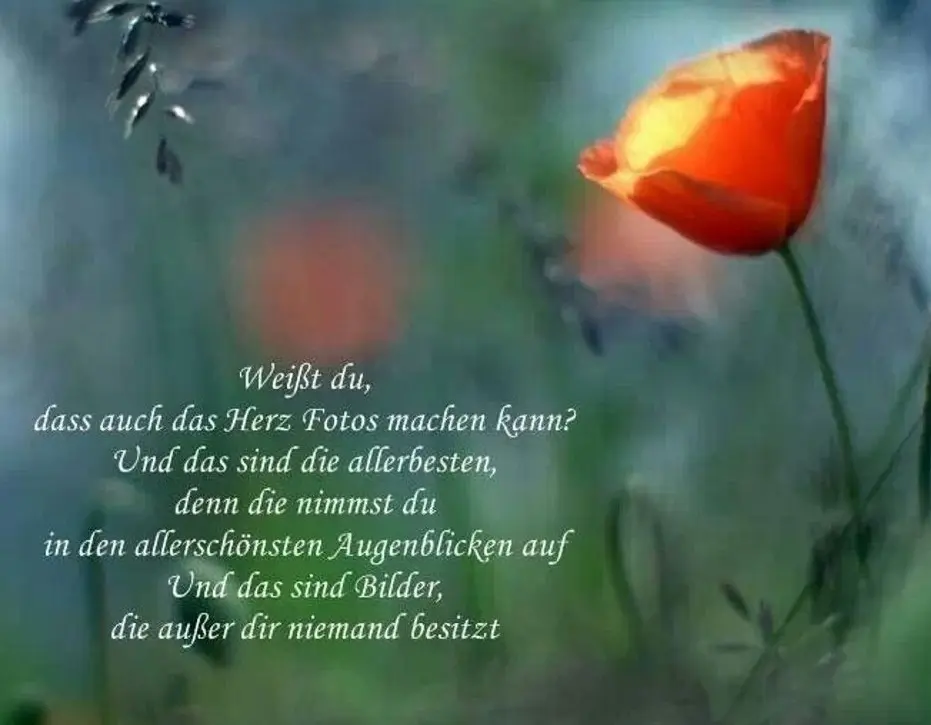 Condolence image of Dem Auge so fern, dem Herzen ewig nah