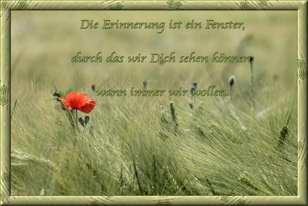 Condolence image of 💫 💫Süße Träume 💫 💫