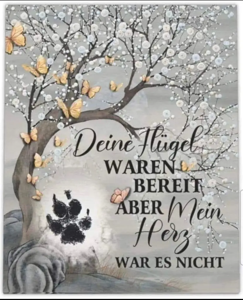 Condolence image of Janine mit Sheela 🐾🌈❤️