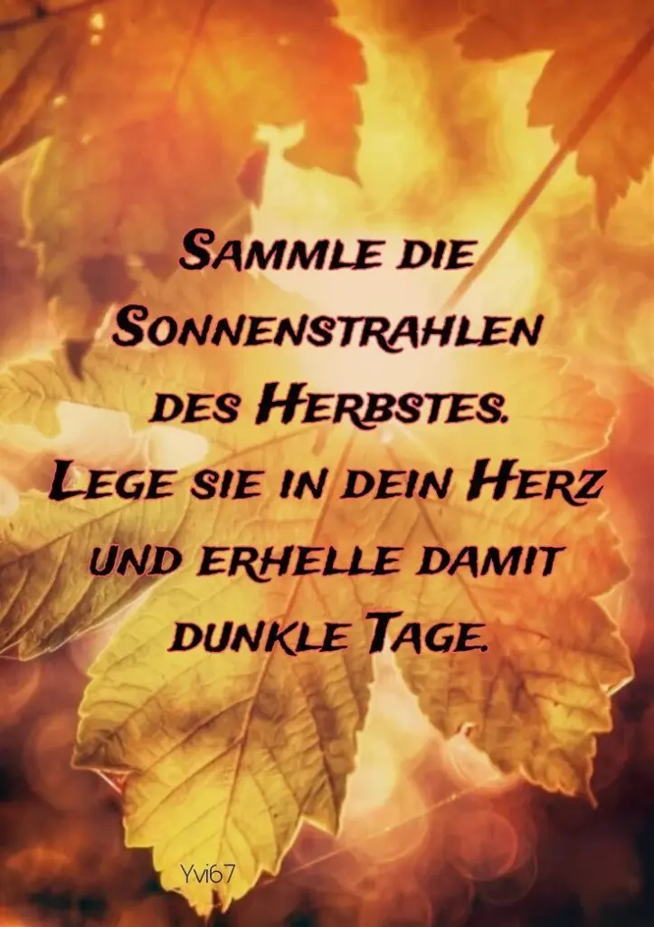 Condolence image of Heide mit Cita im Herzen❤️