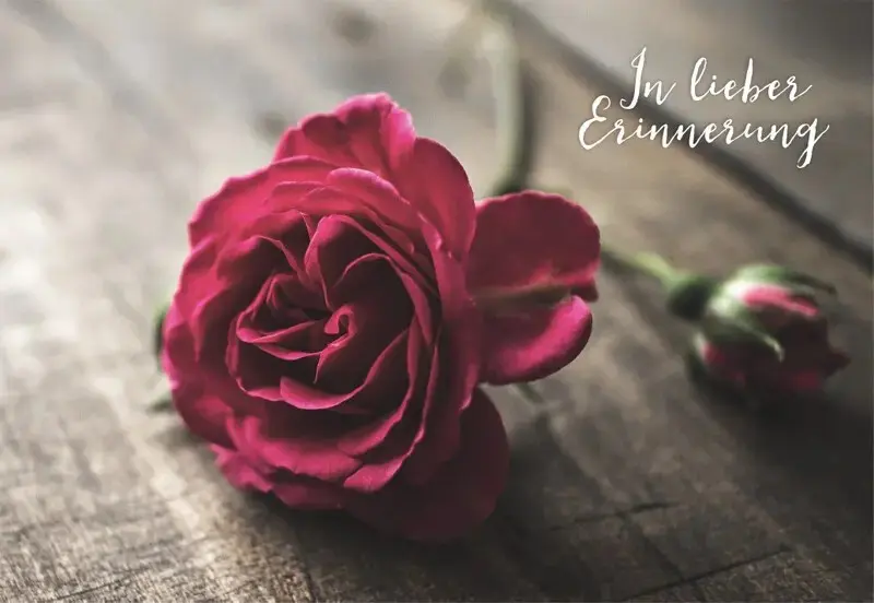 Condolence image of Petra mit Motte 🍂