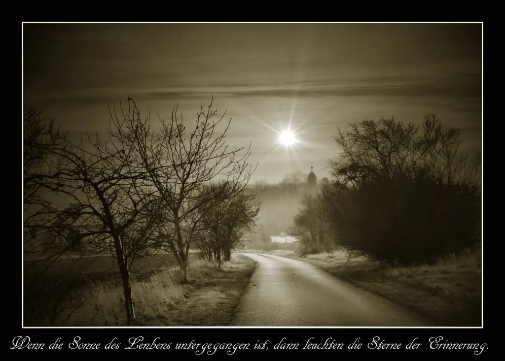 Condolence image of JJ. to Snowy