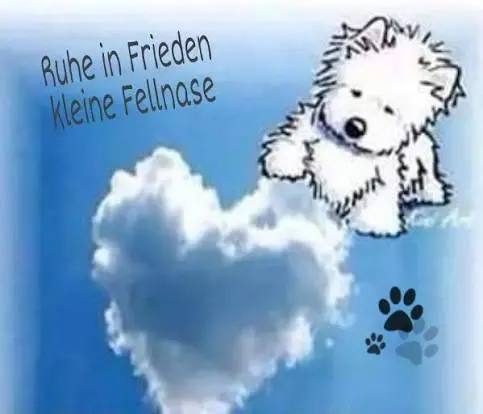 Condolence image of Annemarie und Elke mit Snoopy und Pünktchen im Herzen