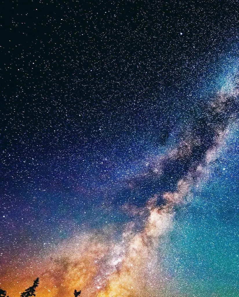 Condolence image of Amy ❤️