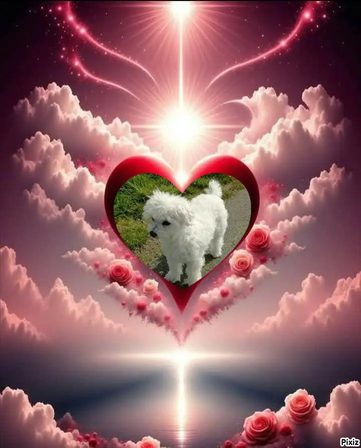 Condolence image of Tanja mit Timmy im 💘