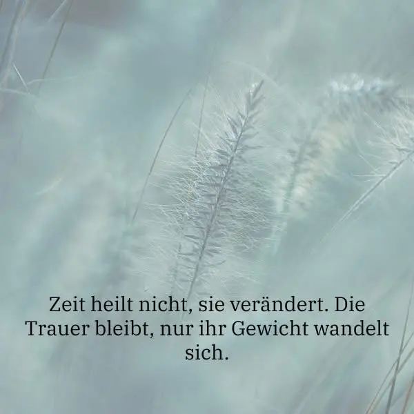 Condolence image of Für Snowy ❤️