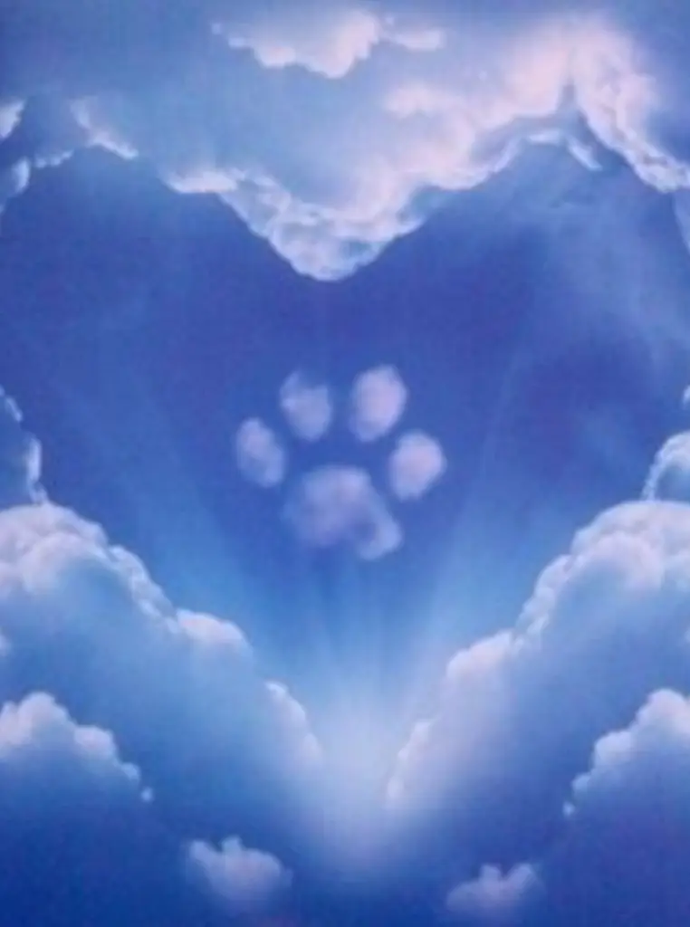 Condolence image of Kerstin ❤️Snoopy