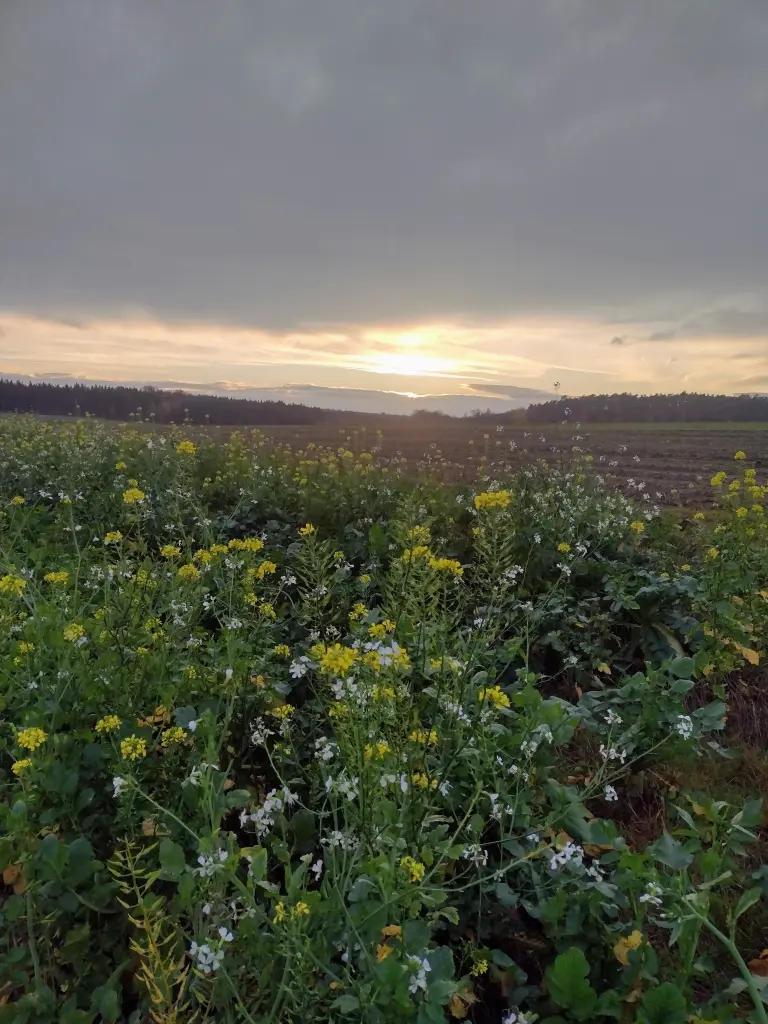 Condolence image of Corinna ❤️mit ihren ⭐lein im ❤️