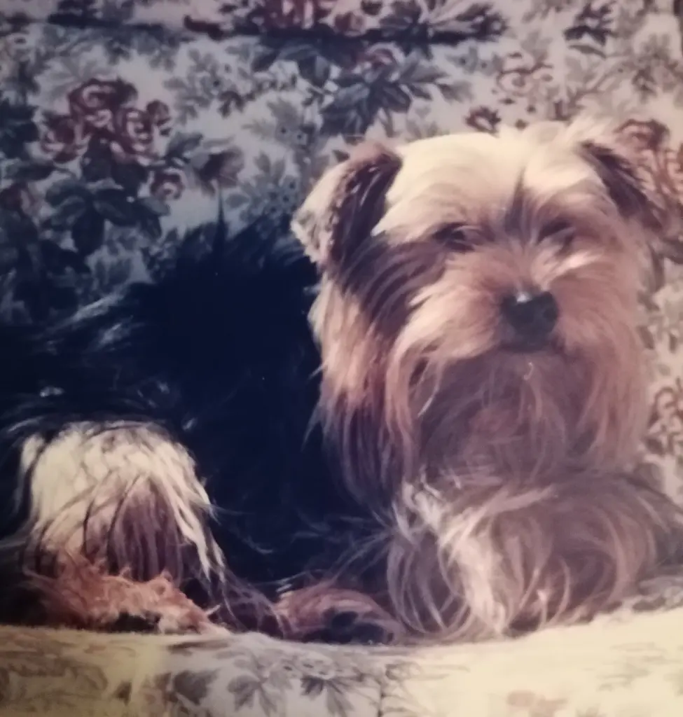 Condolence image of 🌹Immer... 🌹für immer... 🌹