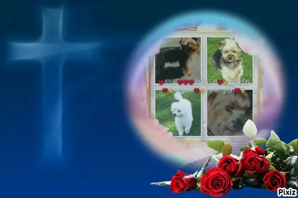 Condolence image of Tanja mit Timmy im 💘