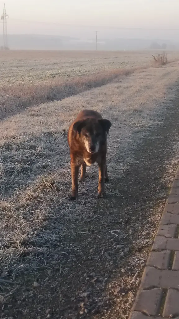 Condolence image of Gabi mit Max