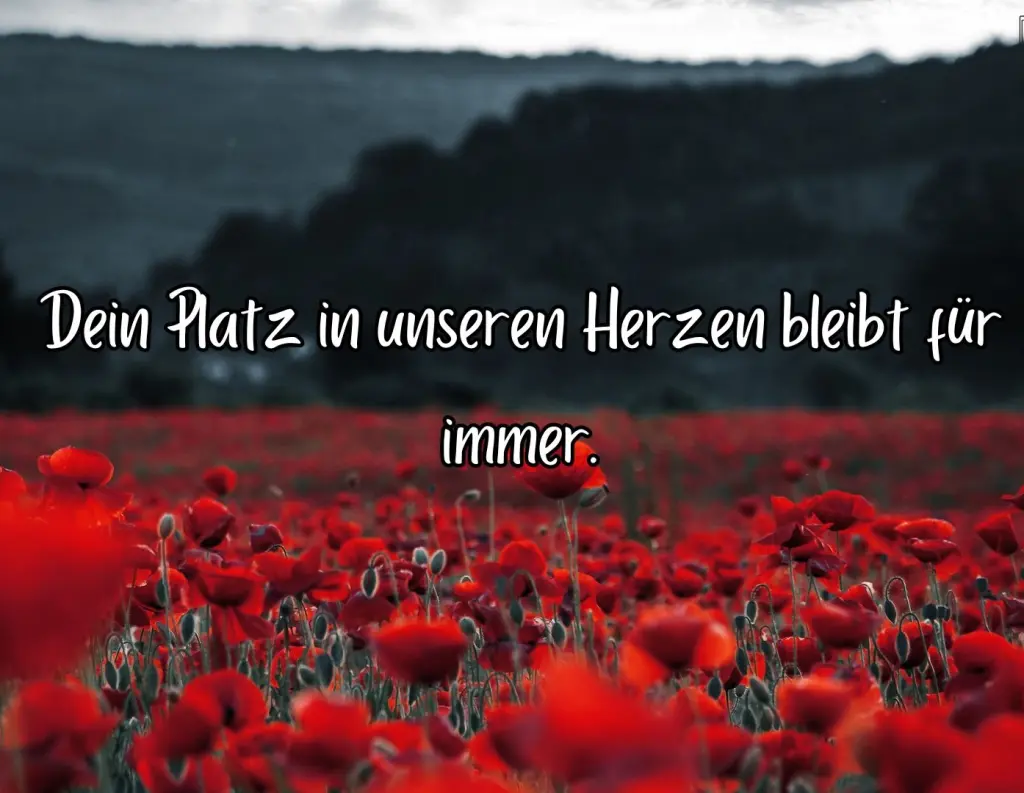 Condolence image of JJ. to Snowy