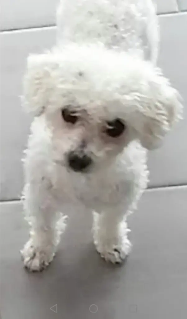 Condolence image of Immer♡ in ♡ meinem ♡ Herzen ♡