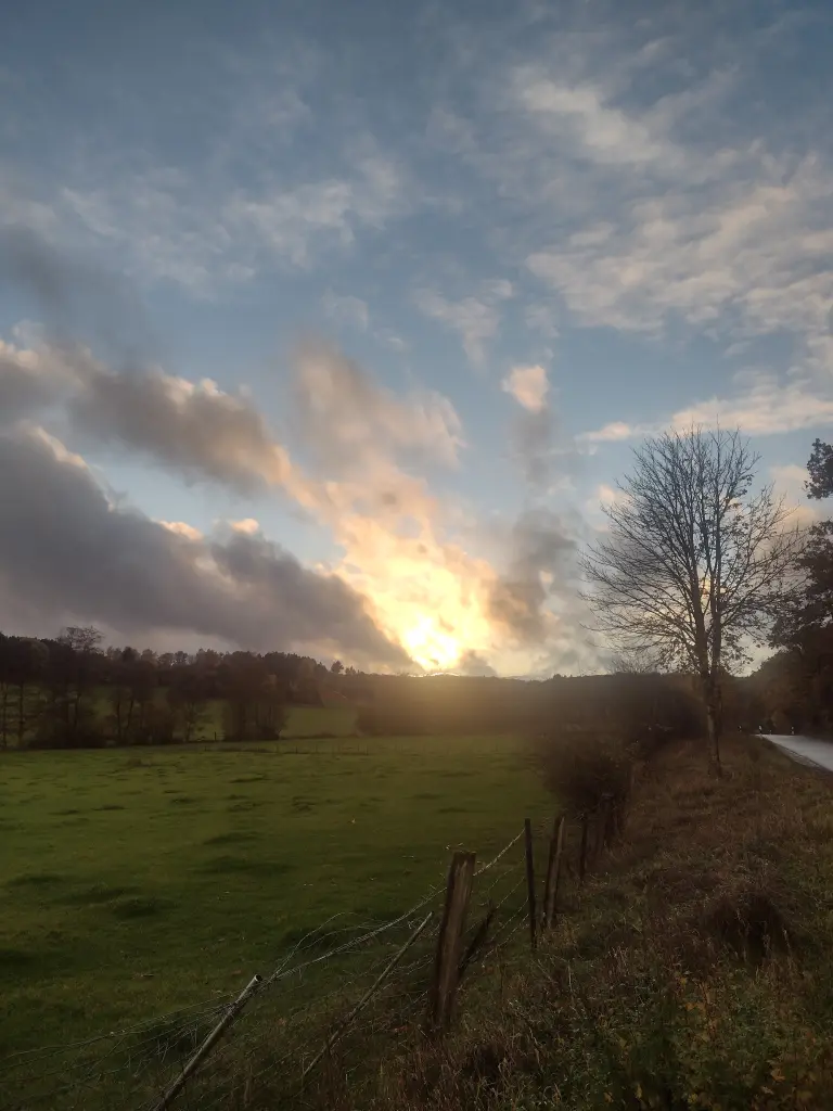 Condolence image of Corinna ❤️