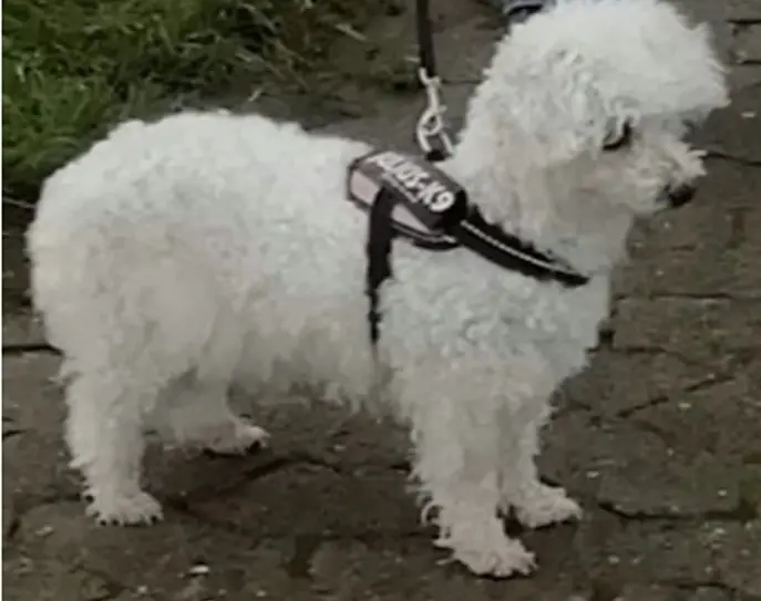 Condolence image of Immer♡ in ♡ meinem ♡ Herzen ♡