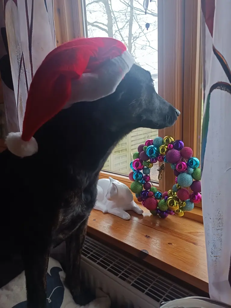 Condolence image of C.mit Skylar tief im ❤️