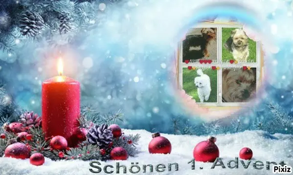 Condolence image of Tanja mit Timmy im 💘