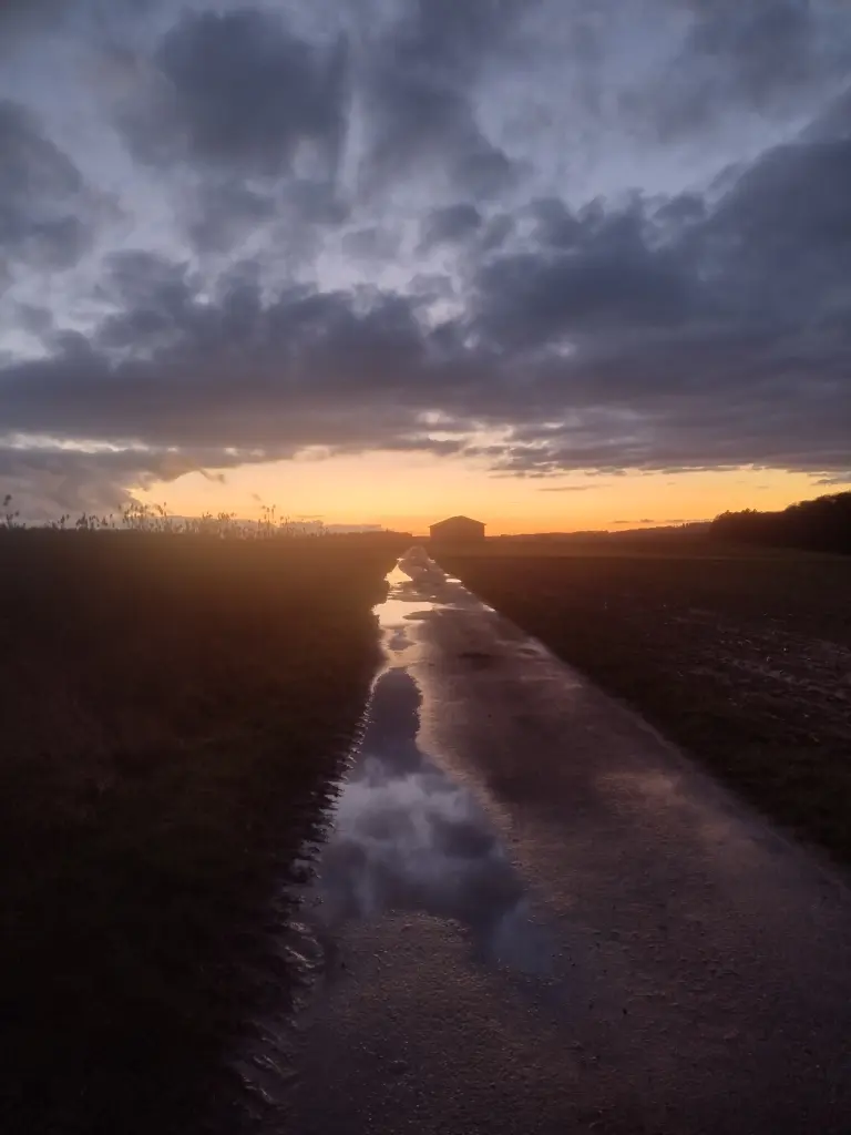 Condolence image of Corinna❤️