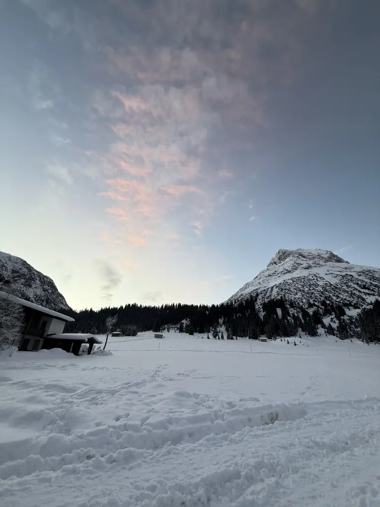 Condolence image of Snowy ❤️Lockenköpfchen