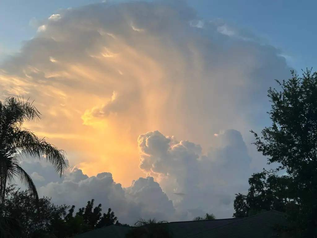 Condolence image of Hearts forever close