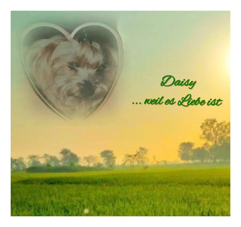 Condolence image of Immer♡ in ♡ meinem ♡ Herzen ♡