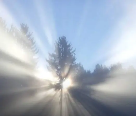 Condolence image of Cuddles