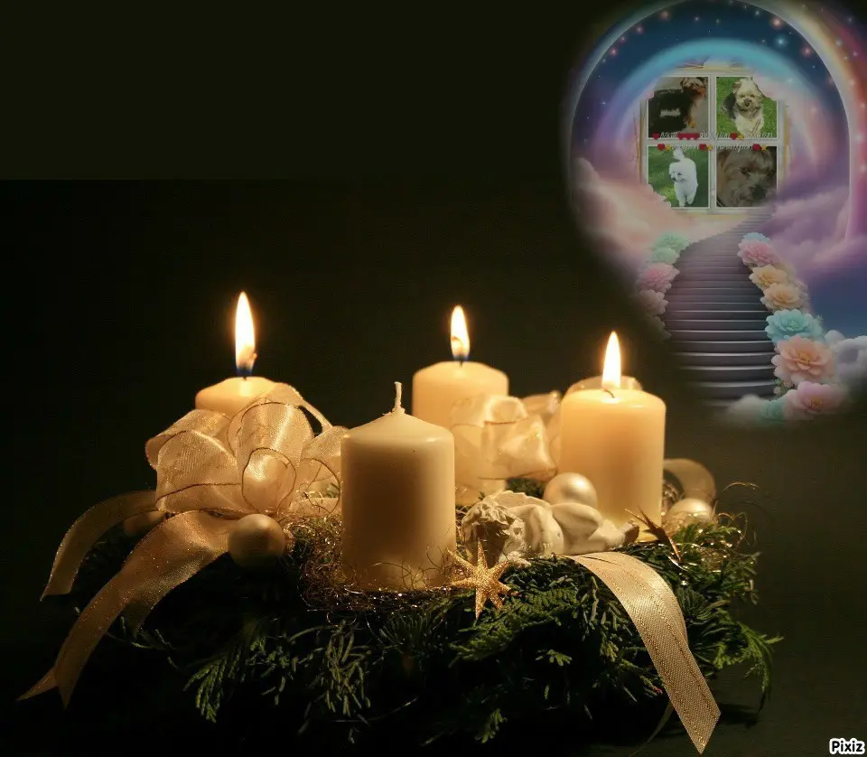 Condolence image of Tanja mit Timmy im 💘