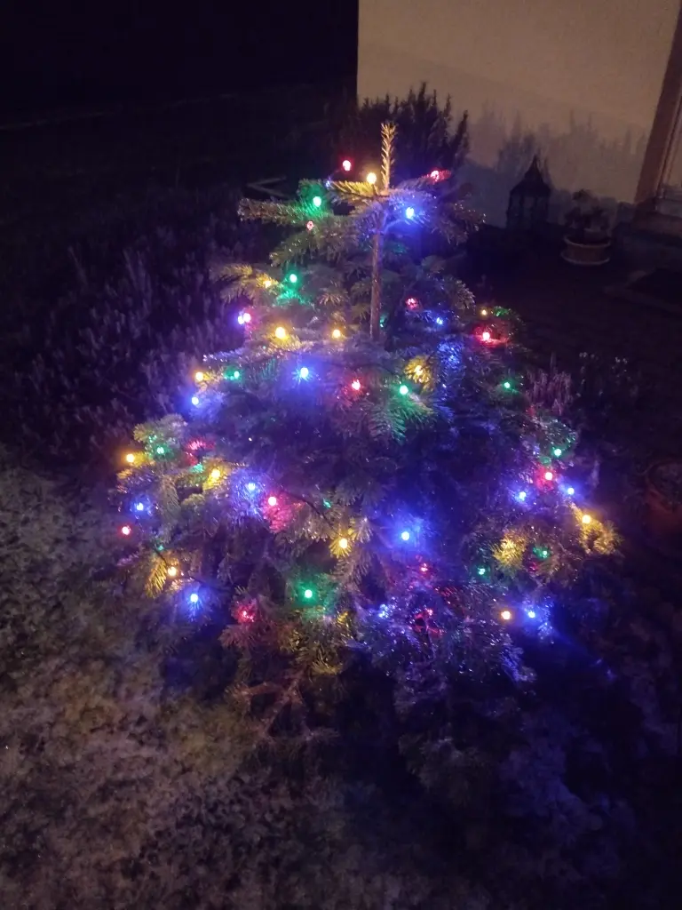 Condolence image of Corinna ❤️