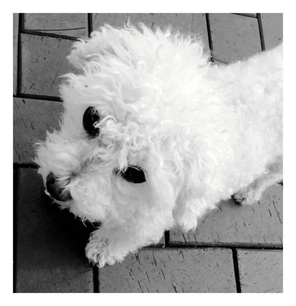 Condolence image of 🌹♡ 🌹