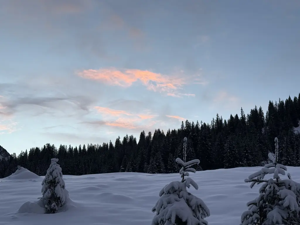 Condolence image of Für Buffy 🕊️