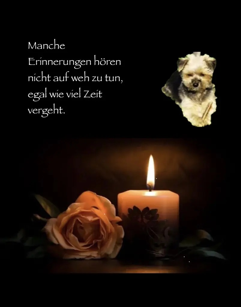 Condolence image of Heide mit Cita im ❤️