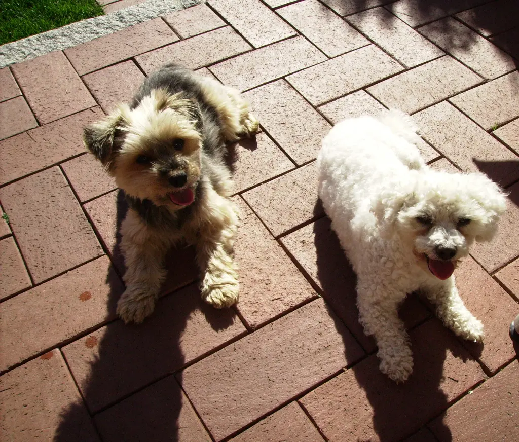 Condolence image of ♡