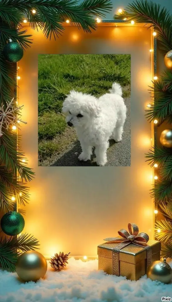 Condolence image of Tanja mit Timmy im 💘