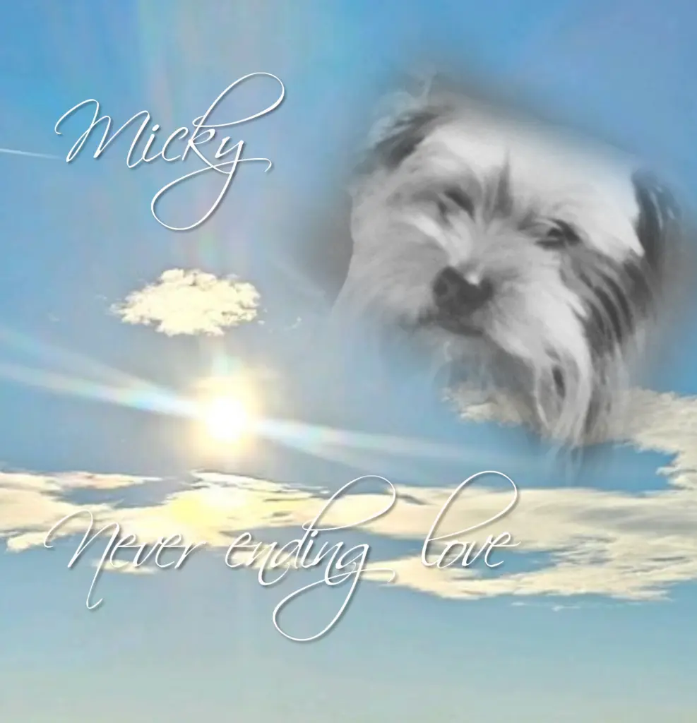 Condolence image of Immer♡ in ♡ meinem ♡ Herzen ♡