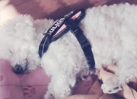 Condolence image of ♡ Vielfalt der ♡🌹♡ Gedanken♡