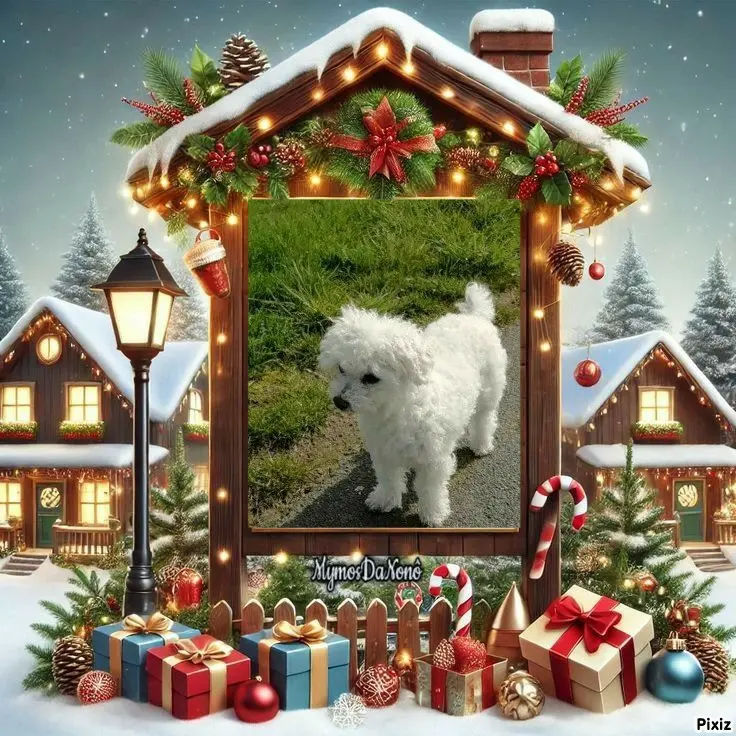 Condolence image of Tanja mit Timmy im 💘