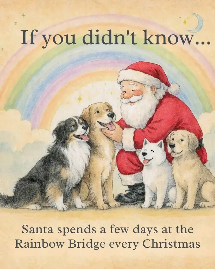 Condolence image of Dein treuer Freund Snupik