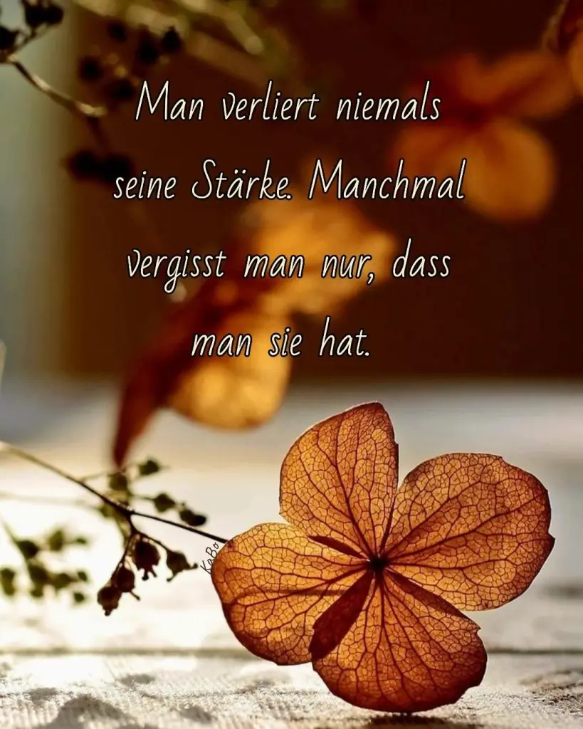 Condolence image of Petra mit Motte 🍀