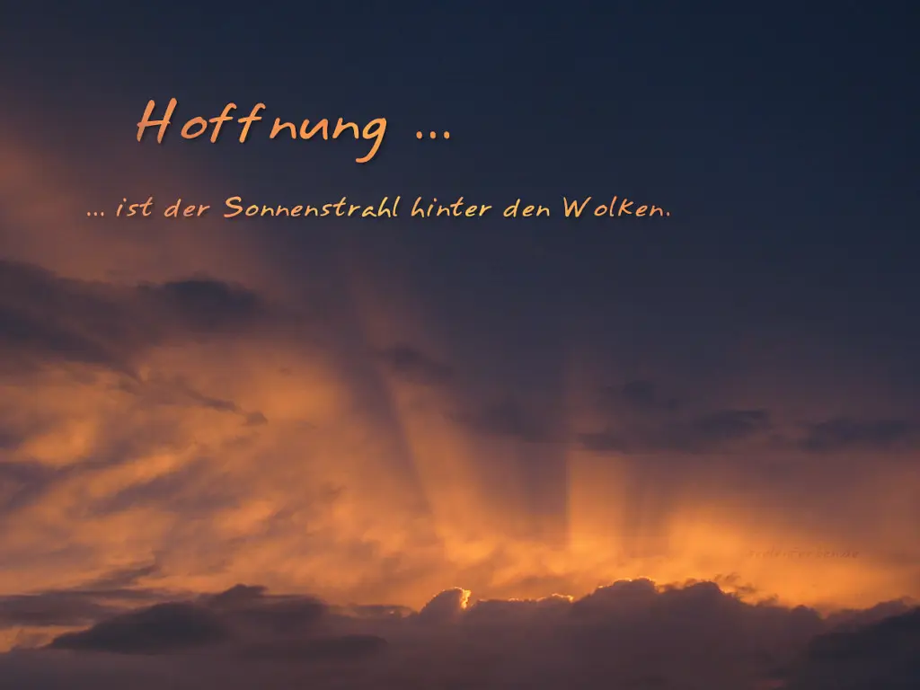 Condolence image of Mona❤️ein Licht für Snowy ❤️