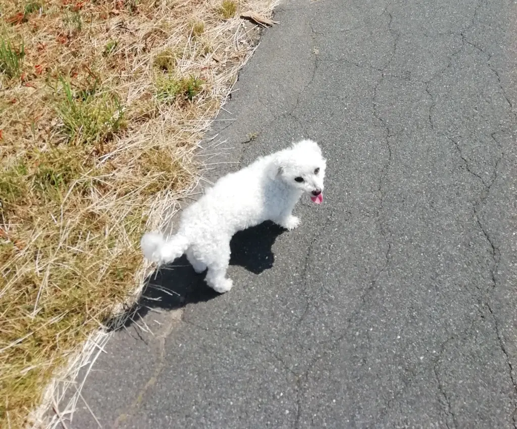 Condolence image of ♡