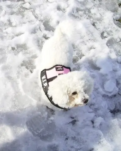 Condolence image of ♡