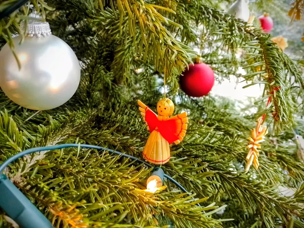 Condolence image of Dein treuer Freund Snupik mit Aliya ❤️