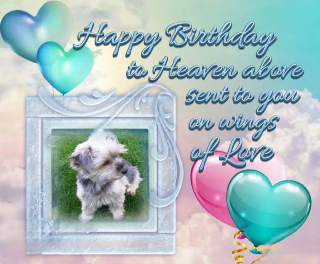 Condolence image of 🌹♥️Happy Birthday Buffy♥️🌹