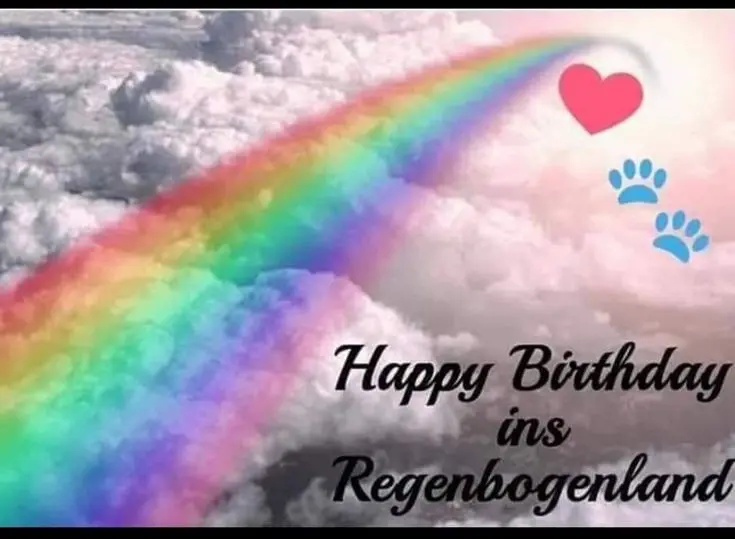 Condolence image of Manuela mit Fiby im ❤️