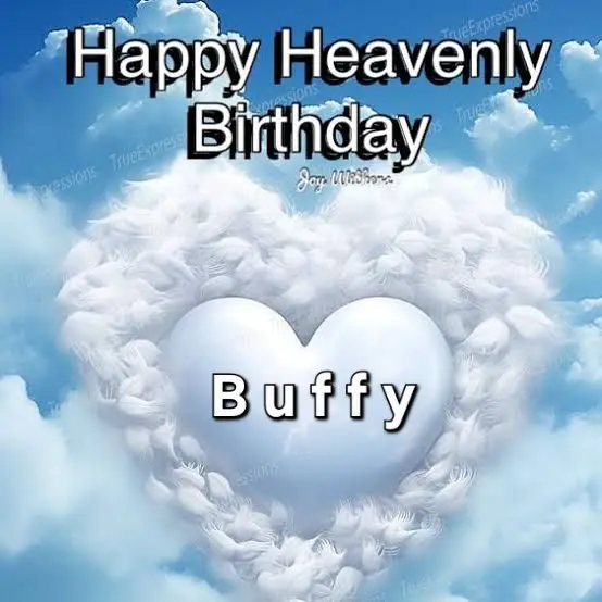 Condolence image of ❤️ Happy birthday Buffy ❤️